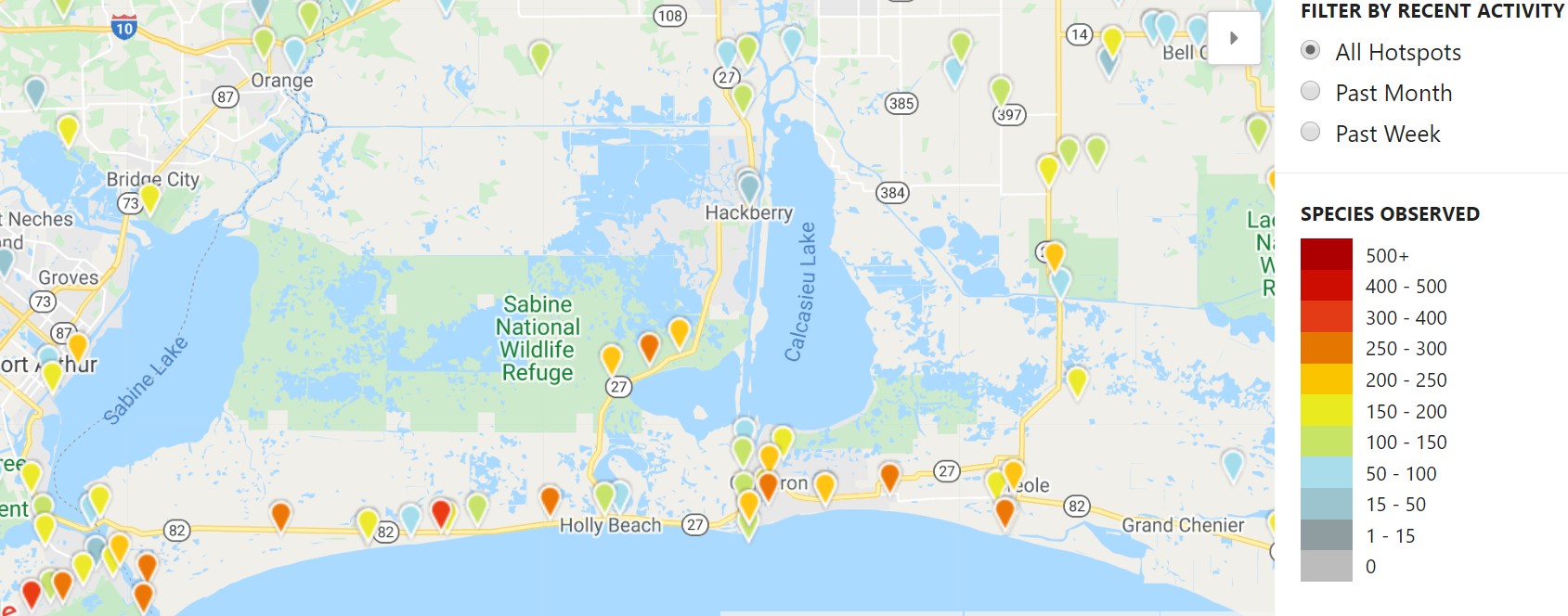 Above: Hot spots in Cameron Parish courtesy of ebird.com